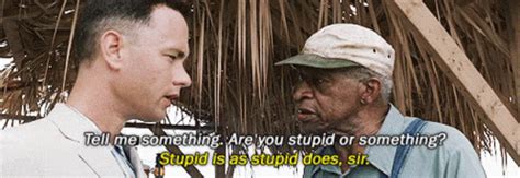 We regularly add new gif animations about and. Forrest Gump Stupid Is As Stupid Does GIF - ForrestGump ...