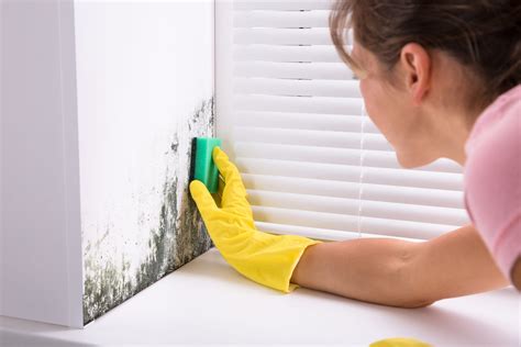 Sometimes mold may be concealed underneath wallpaper, paneling, carpet, or behind walls. How to Get Rid of Mold on Walls Permanently