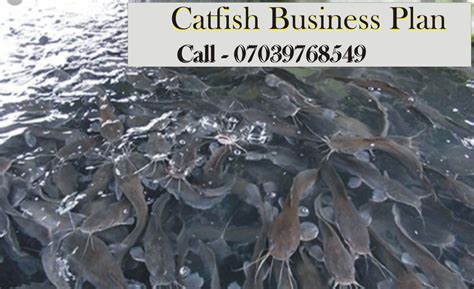 La qualité biologique désigne en fait un mode de production agricole dont les fondements sont basés sur la non utilisation de produits chimiques de. Catfish Farming Business Plan In Nigeria PDF File | Farming business, Business planning