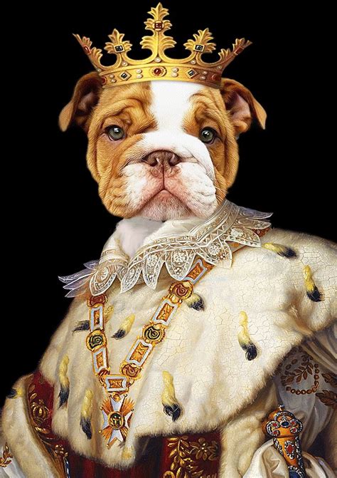 There are several ways to change your pet's appearance. Your pet is a king,Renaissance pet portrait,royal Pet ...