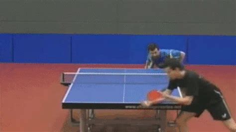 Loire nord tennis de table mise sur la jeunesse en enrôlant la saison prochaine le jeune prodige belge, louis laffineur. 10 Aksi Pingpong Lucu Ini Dijamin Bikin Kamu Ngakak!