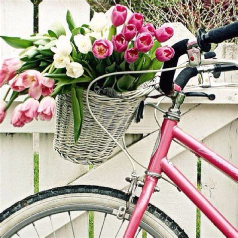 Pretty in pink beautiful flowers pink bike my sun and stars rose cottage color rosa flower basket pretty pictures flower power. I really do love tulips. | Pink bike, Pink bicycle, Bicycle