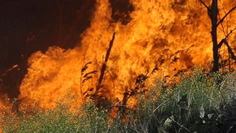 Fire fighters are battling the blaze. Man in court for setting Table mountain on fire - SABC ...