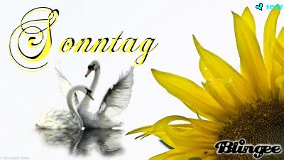 Man verbringt viel gemeinsame zeit. Sonntag - Kostenlose Gästebuchbilder