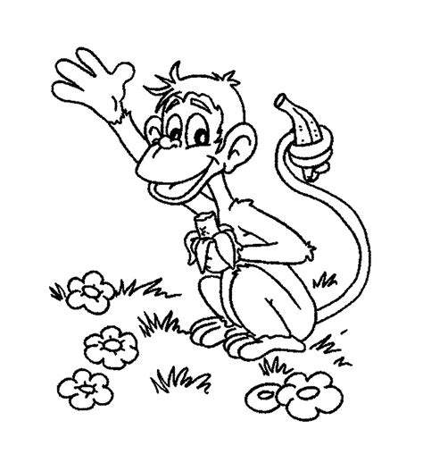 Maybe you would like to learn more about one of these? √ Download sketsa gambar hewan yang gampang diwarnai untuk ...
