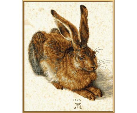 Hase malen vorlage genial ausmalbild hase igel beautiful. Der Feldhase nach Albrecht Dürer (1471 - 1528) Malen nach ...