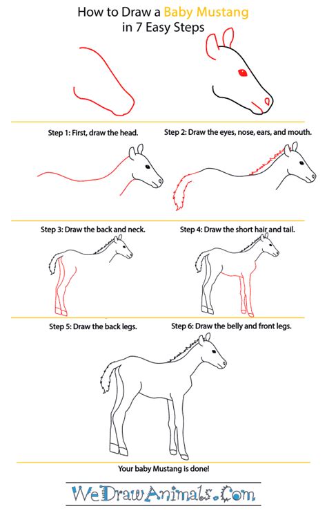 How to draw a mustang horse step by step drawing tutorials from www.supercoloring.com draw a big peanut shape body. How to Draw a Baby Mustang Horse