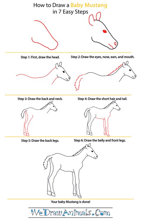 Draw two ovals for the head and body of the mustang. How to Draw a Baby Mustang Horse