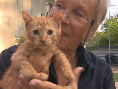 That ended up being a small alcove near the rooftop of a barn! Feral Cat Rescue Gets a Much Needed Helping Hand