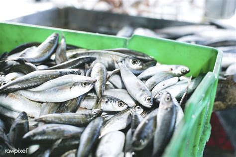 The different characteristics of the fisherwomen who are also known as kolins in local language is just an amazing sight. Fresh fish at a fish market | free image by rawpixel.com ...