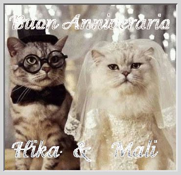 Buon 35° anniversario di matrimonio.marylou & paul. Buon 35 Anniversario Di Matrimonio Gif : Https Encrypted ...