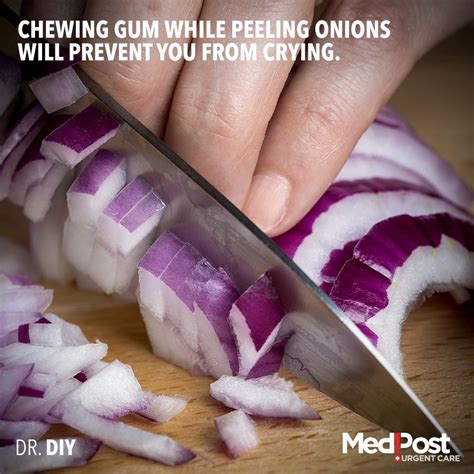 Greater while chewing sweetened and flavored gum as opposed to unsweetened, unflavored chewing gum base.8, 9. Chewing gum while peeling onions will prevent you from ...