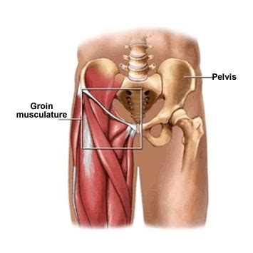 We did not find results for: Groin Injury | Groin Pain Clinic | Dr John Garvey ...