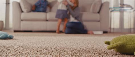 For carpets cleaned using the hot water extraction (or steam) method, it typically takes 6 to 12 hours. Carpet Cleaning Service Perth | How Long Does Carpet Take ...