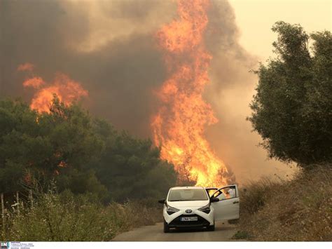 Τα αποτελέσματα των πανελλήνιων εξετάσεων ανακοινώνονται την ίδια ημερομηνία για όλους τους μαθητές, μέσω. Πυρκαγιά στο Σχίνο: Τεράστιες οι επιπτώσεις προειδοποιεί ο ...