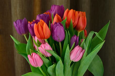 Check spelling or type a new query. Save your skin with next day flowers - Flower Press