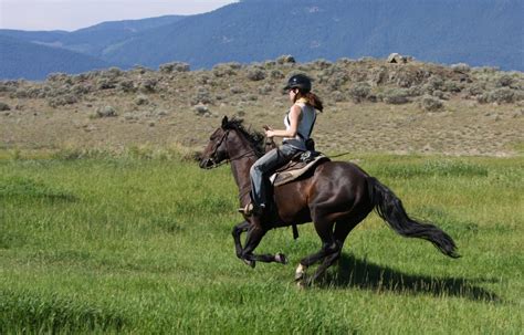 See more of weekend cowboy/cowgirl on facebook. Cowgirl Weekend - Horseback Riding & More - Sundance Guest ...