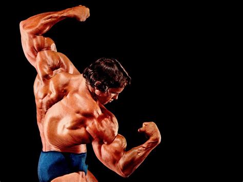 You can also upload and share your favorite arnold schwarzenegger wallpapers. Bodybuilding Wallpapers HD 2016 - Wallpaper Cave | Culturismo