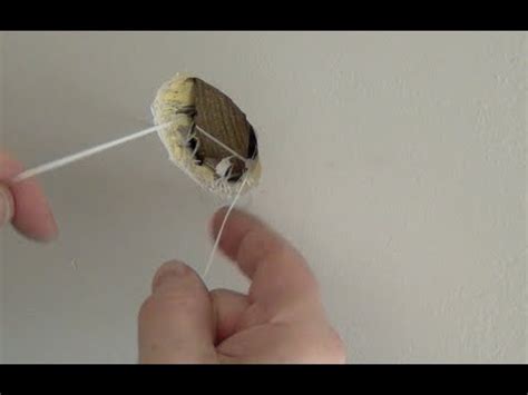 Stuffing aluminum foil or toilet paper into the void isn't exactly a good solution. Fix door knob hole in wall without using drywall - YouTube