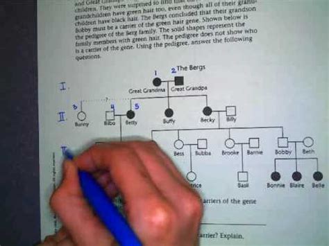 Documents similar to pedigree worksheet answer key. Pedigree Instructions - YouTube