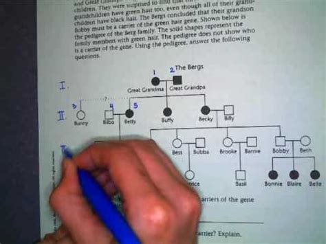 Human pedigree analysis problem sheet answer key view the pedigree below and interpret the diagram to answer the questions. Pedigree Instructions - YouTube