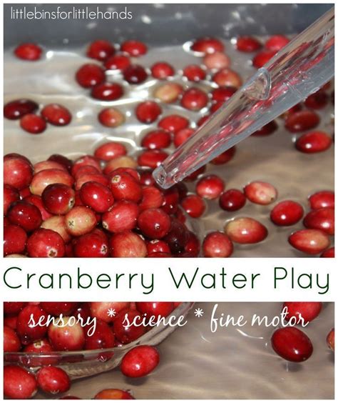 This pack of thanksgiving printable activities was designed with your preschoolers in mind. Quick Cranberry Science and Thanksgiving Sensory Play ...