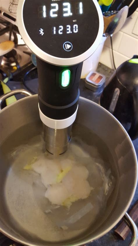 Cooking the perfect Scallop: sous vide vs pan searing ...