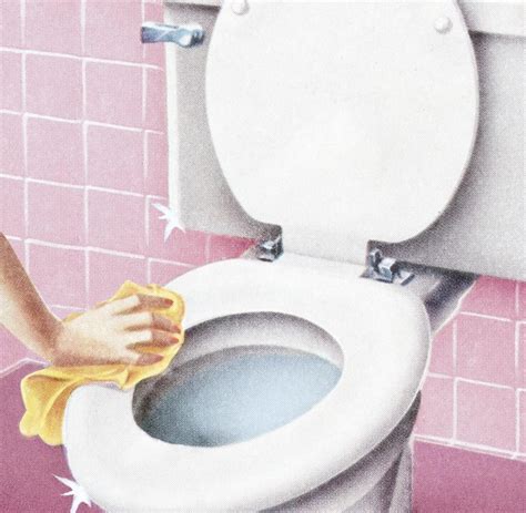 6 tricks für ein makelloses ergebnis. Die Toilette sollte regelmäßig geputzt werden - von innen ...