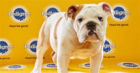 We'd say she does the laundry by hand or she washes the clothes by hand because she has no washing machine. What Time Is the Puppy Bowl? | WIRED