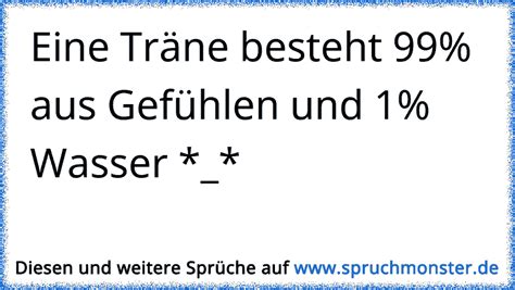 songtext zu „ich hasse kinder. Eine Träne besteht 99% aus Gefühlen und 1% Wasser ...