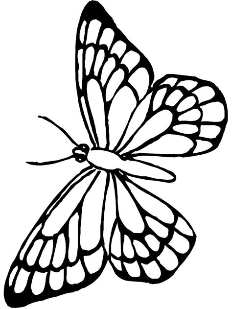 47 contoh kolase kupu kupu dari kertas gratis terbaru. Koleksi Gambar Sketsa Kupu-Kupu Cantik Dan Indah