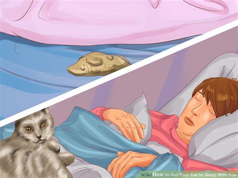 Set aside certain fun activities that your cat enjoys that only happen. How to Get Your Cat to Sleep With You: 11 Steps (with ...