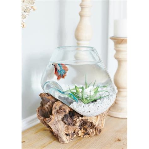 Jual aquarium kaca akar jati unik harga murah. Jual AKUARIUM IKAN CUPANG UNIK L GLASSWOOD potkacatiup - Kota Denpasar - pot kaca tiup | Tokopedia