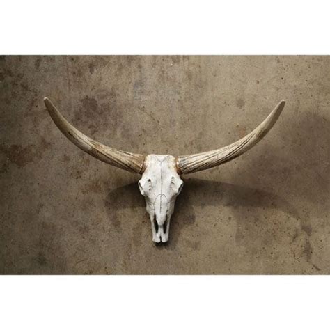 19'' h x 16'' w. Steer Skull | Steer skull, Cow skull decor, Skull wall decor