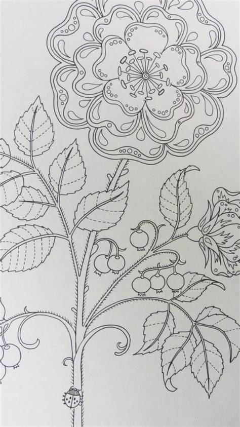 A garden is life, beauty and a pure expression of nature. Secret Garden | Drawings, Secret garden book, Coloring pages