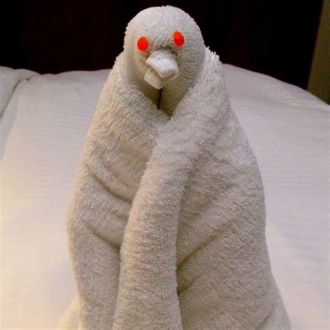 Now stand the bath towel up as shown. Pin by chris van loon on Cruise Ship Towel Folding Towel ...