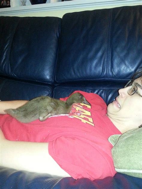Check spelling or type a new query. Duckling vs. boy | Ducklings, Boys, Duck