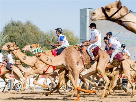 The car depicts the ferarri. Photos: Emirati Sultan Al Shamsi dominates 6th National ...