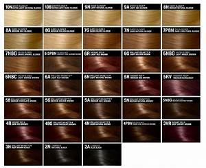 Hair Color Chart Brown Hair Color Chart Natural Hair Color Chart