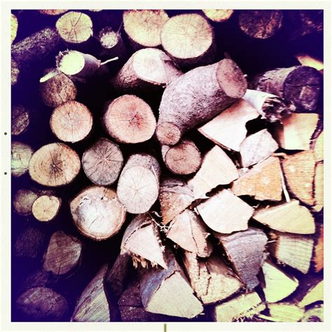 Meyer holz & garten ei tegutse valdkondades ehitustarvete hulgimüük, ettevõtte juhtimine, lilleseadjad. holz aus unserm garten | Garten, Holz