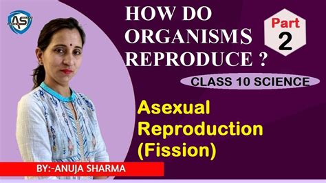 Do you look forward to spring each year? HOW DO ORGANISMS REPRODUCE - ASEXUAL REPRODUCTION ...