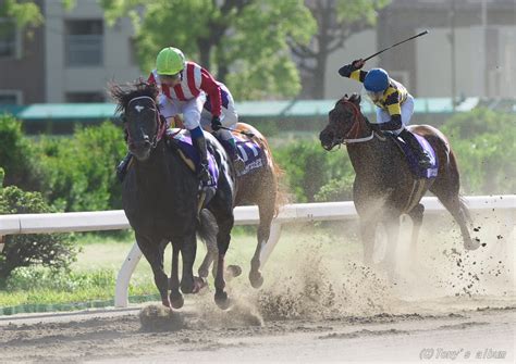 Перевод контекст なければいけない c японский на русский от reverso context: Tonyの競馬写真ブログ 第14回かきつばた記念