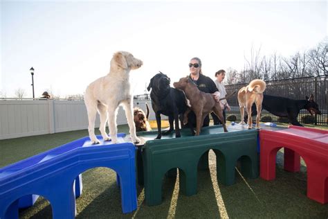 We offer an upscale facility that includes luxury boarding and grooming for your pets. We're Offering Free Evaluations for Daycare and Training ...