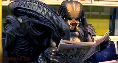 Predator wallpapers and stock photos. Alien-VS-Predator | Tumblr