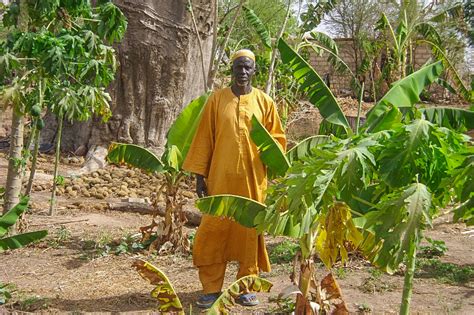 Stream tracks and playlists from moussa ndao on your desktop or mobile device. success story from senegal | tentree®