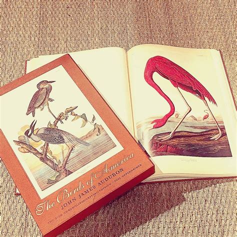 Has been added to your cart. Audubon coffee table book @marigoldssummerville | Coffee ...