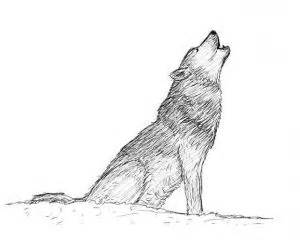 Ak tento problém neriešime, môžu sa dostaviť ďalšie bolesti. Jak nakreslit vlka? - jayassen.com