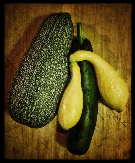 Once in awhile we miss one. Grey zucchini, black beauty zucchini, yellow crookneck ...