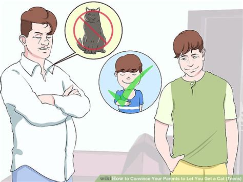 See full list on wikihow.com How to Convince Your Parents to Let You Get a Cat (Teens)