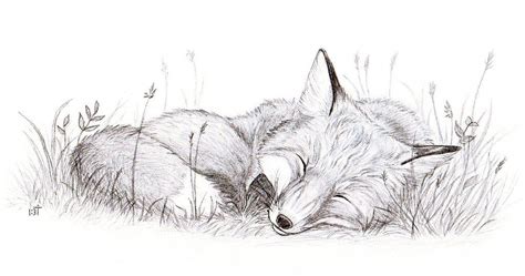 Lower back support is the more important part of upright sleeping; Sleeping Fox by Bastet-mrr on deviantART | Fox art, Animal drawings, Animal sketches